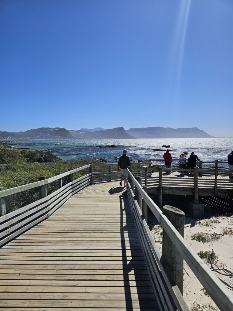 boulders beach walkway with the sunshine shining over the bright blue ocean 