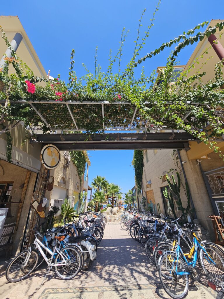 An alleyway filled with bicycles and vines in Kos