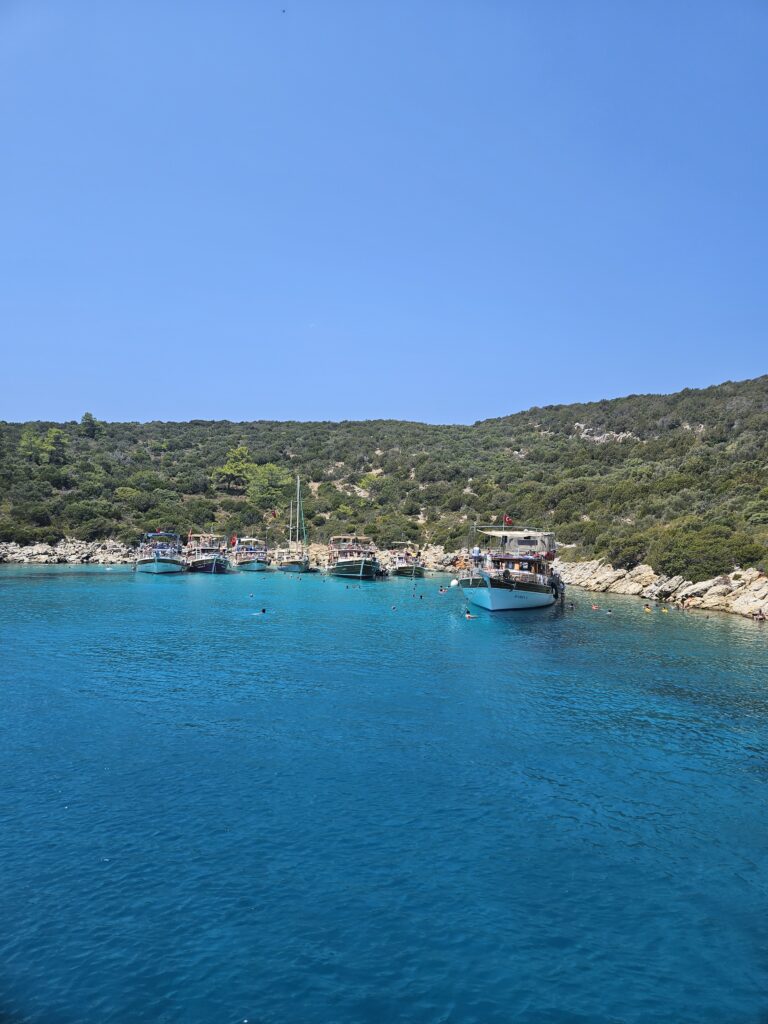 Orak Island from boat