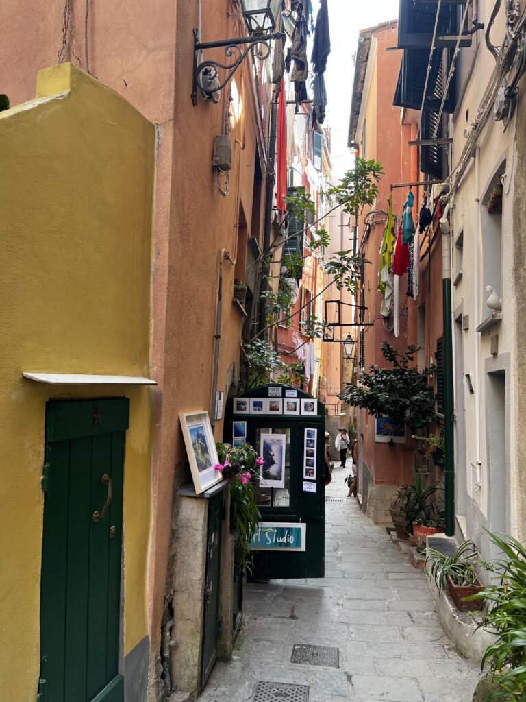 Small houses and narrow passageways in Vernazza 