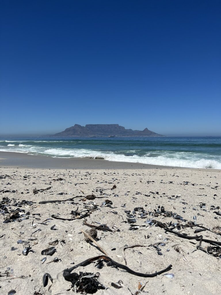 Table Mountain from Small Bay beach